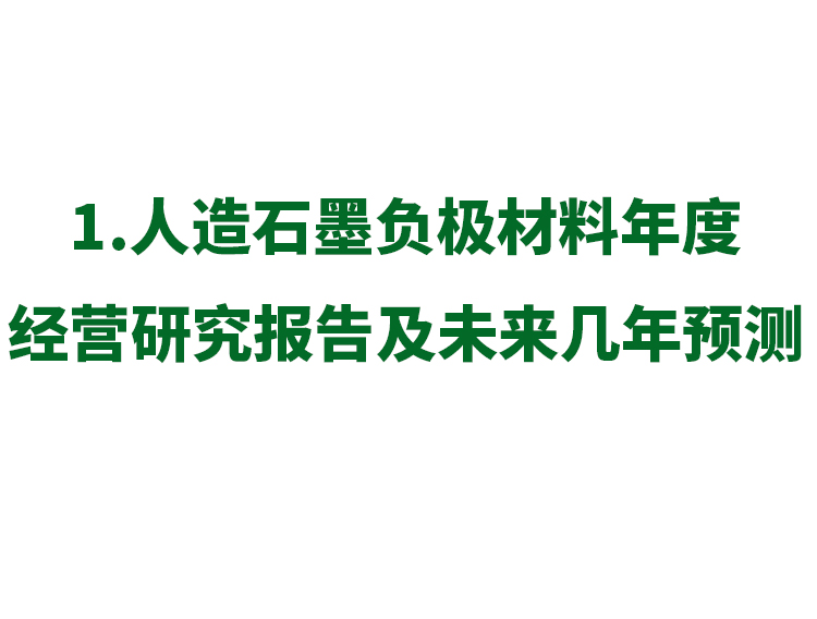 4.人造石墨负极材料年度经营研究报告及未来几年预测