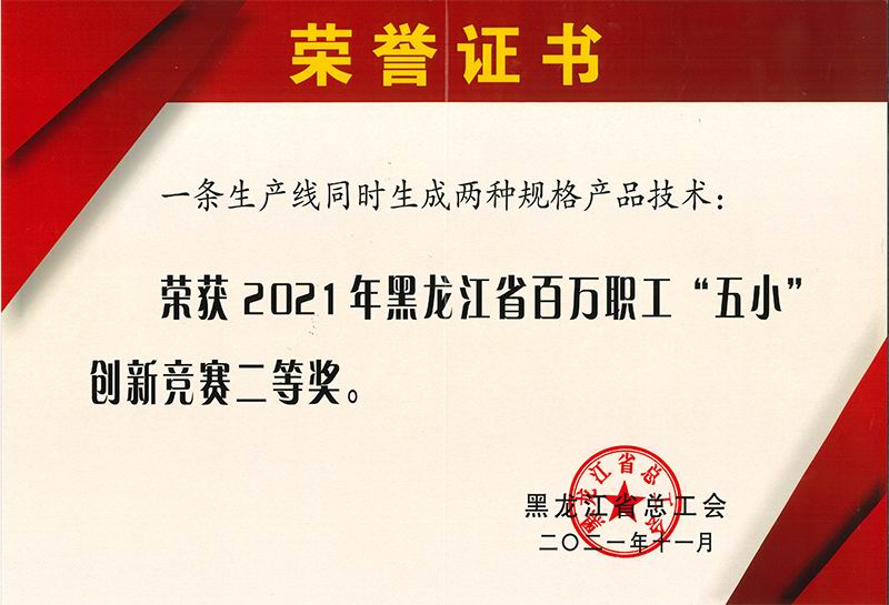 玉鑫获奖证书 (6)